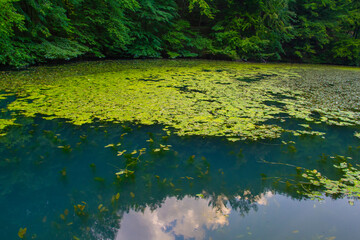 Hungarian tarn near the National Park of Aggtelek, Hungary, Josvafo