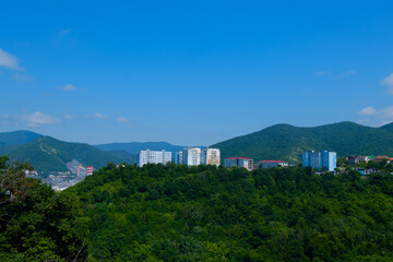 residential buildings in the forested mountains