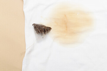 spilled tea stain on white clothes with a tea bag next to it