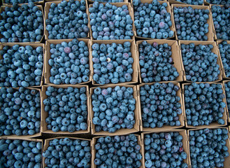 Berries at farmers' market