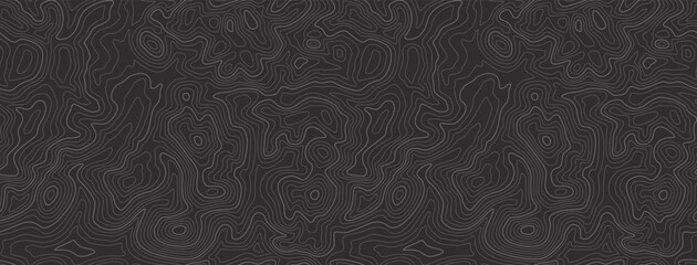  topographic map Background. Topographic map lines, contour background. Geographic abstract grid. EPS 10 vector illustration - obrazy, fototapety, plakaty