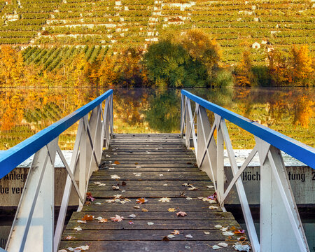 Jetty leading onto a river and view onto autumnal vineyards