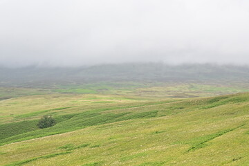 Ausblick vom Conic Hill am Loch Lomond im Trossachs National Park auf grüne Wiesen, Schottland