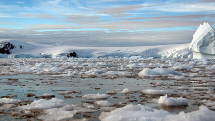 Icebergs floating in the bay, at the base of a snow covered mountain, at Cierva Cove, Antarctica