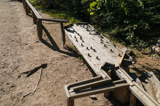 Murmelbahn Erlebnispfad Bingen