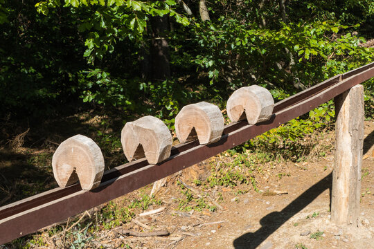 Kugelbahn Erlebnispfad Binger Wald