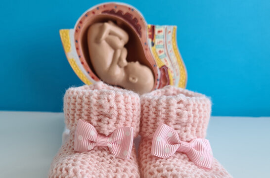 Baby fetus and pink slippers for newborns
