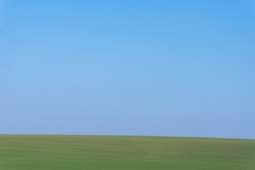 Green field with blue sky as background.