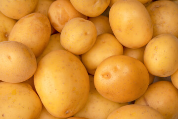 A group of fresh tasty potato as  background.