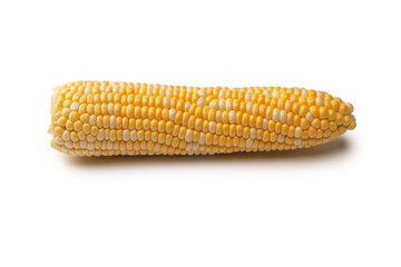 Yellow sweet corn isolated on white background. Copyspace.