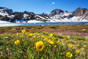Obraz premium Mountains meadow
