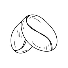 Linear coffee beans. Hand drawn coffee beans isolated on white background. Illustration for design logo, menu, label, icon, stamp. 