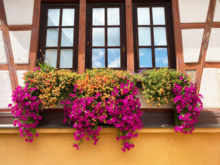 花々が彩られた窓、青空が映り込む窓の風景