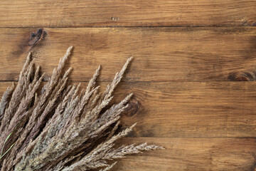 Dry grass on a wooden background. Dark wood texture. Background of dark old wood panels. Place for text. Copy space.
