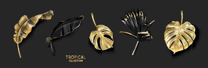 Vector gold and black tropical leaves set on black background. Luxury exotic botanical elements for wedding invitation, cosmetics design, summer banner, perfume, beauty, travel, packaging design - 525146682