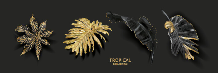 Vector gold and black tropical leaves set on black background. Luxury exotic botanical elements for wedding invitation, cosmetics design, summer banner, perfume, beauty, travel, packaging design - 525146684