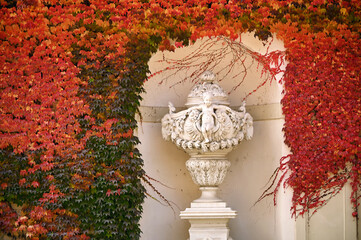 old stone statue and wall with creeper plant in autumn Vienna Austria