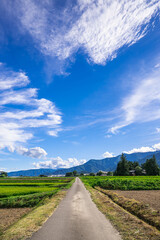まっすぐに走る農道　安曇野