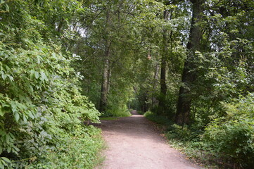 Fototapeta premium An old semi-abandoned park 