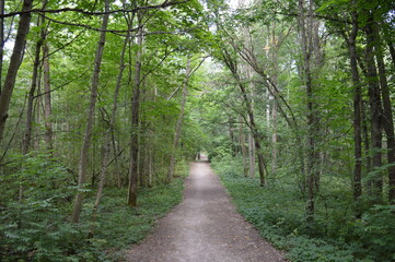 Naklejka premium An old semi-abandoned park 