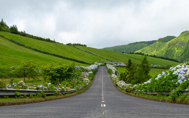 Road with beautiful green landscape with hydrangeas flowers in Sete Cidades, São Miguel Island in the Azores.