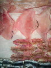 Close-up of a display of fresh fish at the fishmonger's