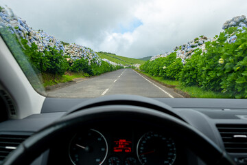 Driver view to road landscape with hydrangeas flowers. View from inside a car of driver POV of the...