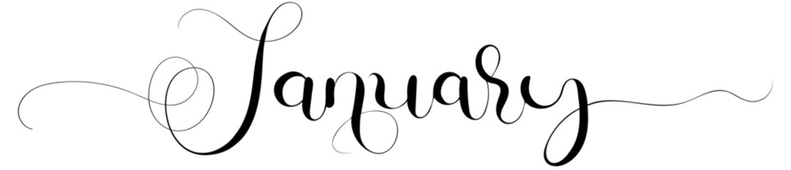 Hello JANUARY ornaments.  January month calendar vector. Illustration month January  calendar