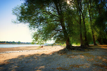 Dried up river bed, beach without water. Low water level of the Rhein dry river landscape, photo On the banks of the Rhine dried out in Cologne / Bonn.