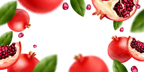 Pomegranate Realistic Horizontal Frame