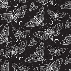 Moths and butterflies over sky with crescent moon and stars seamless pattern hand drawn line art gothic design set isolated vector illustration