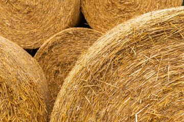 Many haystacks, blocks of hay, bales, stack of hay, rectangular bales on the field