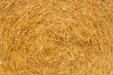 Many haystacks, blocks of hay, bales, stack of hay, rectangular bales on the field