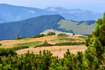 Fototapeta na wymiar View from the Retezat Mountains, Romania
