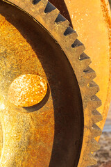 19th-century Gear with Opening