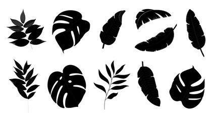 Tropical leaves vector set. Black leaves silhouettes collection. Palm and banana leaves EPS10