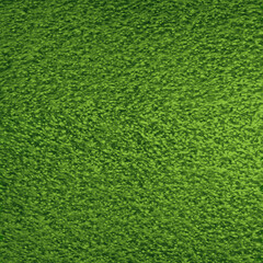 Obraz na płótnie Canvas Green grass texture vector background EPS10