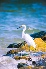 Crane on beach pt 2