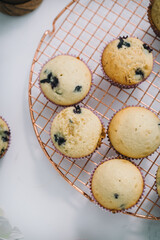 Homemade blueberry muffins baked to perfection on cooling rack in modern white marble kitchen.