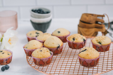 Homemade blueberry muffins baked to perfection on cooling rack in modern white marble kitchen.