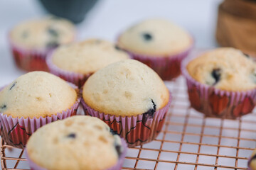 Homemade blueberry muffins baked to perfection on cooling rack in modern white marble kitchen.