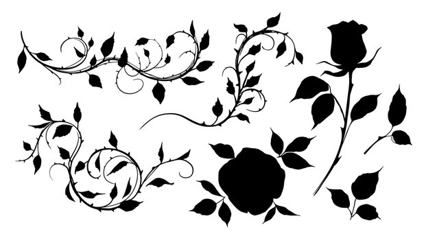 Rose Silhouette. Set Of Illustrations. Vector Clipart