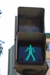 Traffic light to regulate pedestrian crossing in the city