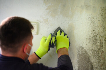Gray mold and fungus on the wall of the room, the effects of high and excessive humidity in the...