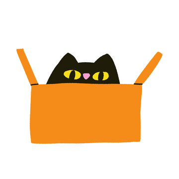 Owning a cat illustration