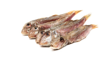 Raw and clean red mullet, isolated on white background. Mullus surmuletus is a bony fish, small in size, edible and highly appreciated. It is found throughout the Andalusian coast.