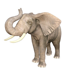  Elephant 3D Illustration