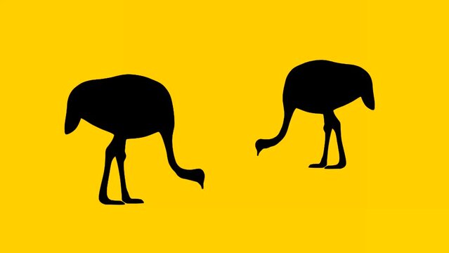 Two eating ostriches, animation on the yellow background