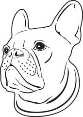 bulldog head line art