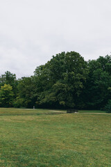park in the morning